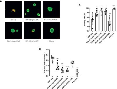 Amniotic Membrane Extract Protects Islets From Serum-Deprivation Induced Impairments and Improves Islet Transplantation Outcome